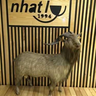 Tổng hợp- Nhà Hàng Lẩu Dê Nhất Ly
