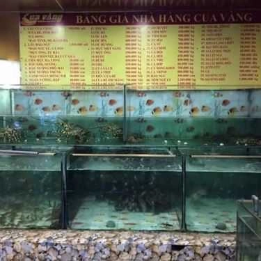 Tổng hợp- Nhà Hàng Cua Vàng