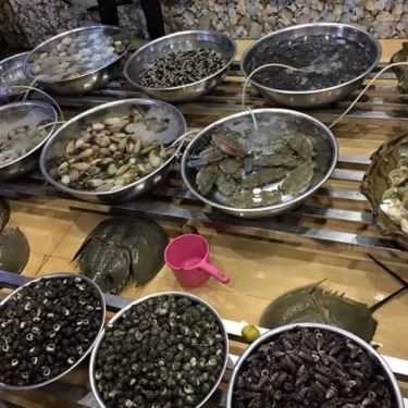 Tổng hợp- Nhà Hàng Cua Vàng