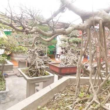 Không gian- Nhà Hàng Minh Đương - Hải Sản Tươi Sống, Món Ăn Đồng Quê