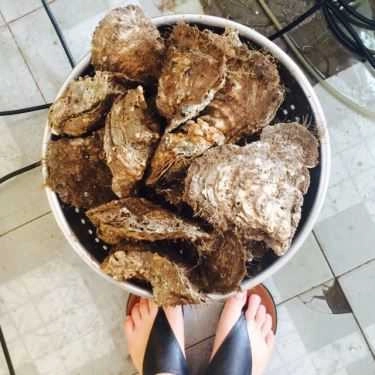 Tổng hợp- Nhà Hàng Bến Bính - Hải Sản Đồ Sơn