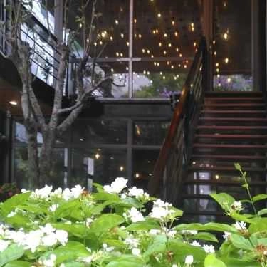 Tổng hợp- Nhà Hàng Casa Bonita - Cafe & Restaurant