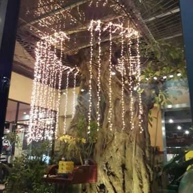 Tổng hợp- Nhà Hàng Lẩu Tứ Xuyên