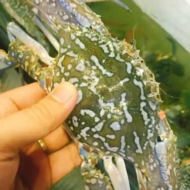 Tổng hợp- Nhà Hàng Fresh House - Lẩu Hơi Hải Sản