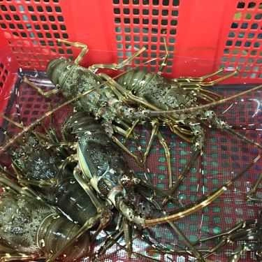 Tổng hợp- Nhà Hàng Fresh House - Lẩu Hơi Hải Sản