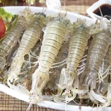 Tổng hợp- Nhà Hàng Fresh House - Lẩu Hơi Hải Sản