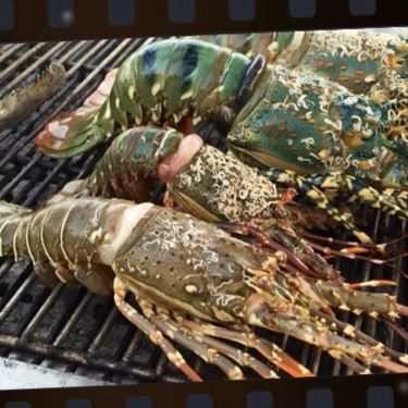 Tổng hợp- Nhà Hàng Fresh House - Lẩu Hơi Hải Sản