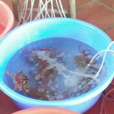 Tổng hợp- Nhà Hàng Hải Âu - Hải Sản Tươi Sống