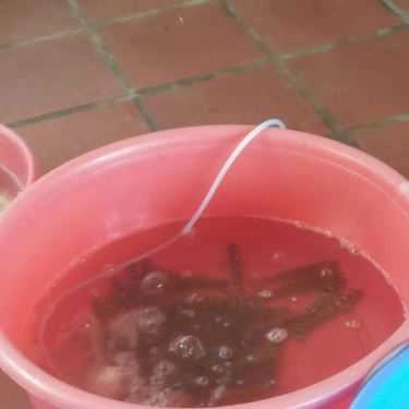 Tổng hợp- Nhà Hàng Hải Âu - Hải Sản Tươi Sống