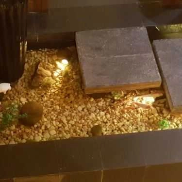 Tổng hợp- Nhà Hàng Hoa Tuyết - Hanayuki Japanese Restaurant