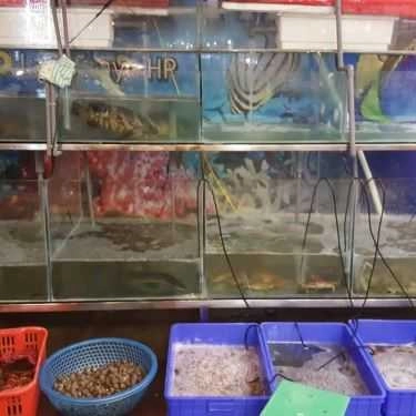 Tổng hợp- Nhà Hàng Lẩu Hơi Thủy Tề - Lạch Tray