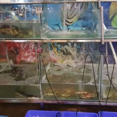 Món ăn- Nhà Hàng Lẩu Hơi Thủy Tề - Lạch Tray