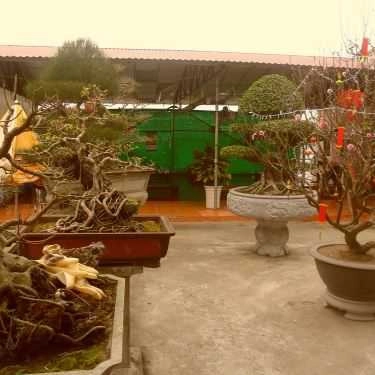 Tổng hợp- Nhà Hàng Minh Đương - Hải Sản Tươi Sống, Món Ăn Đồng Quê