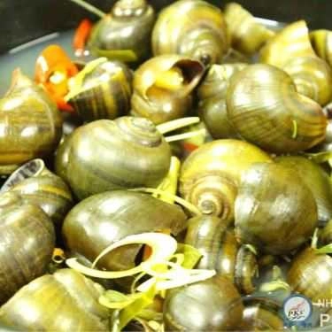 Tổng hợp- Nhà Hàng Món Ăn Bài Thuốc - Hải Phòng Đệ Nhất Chim Câu
