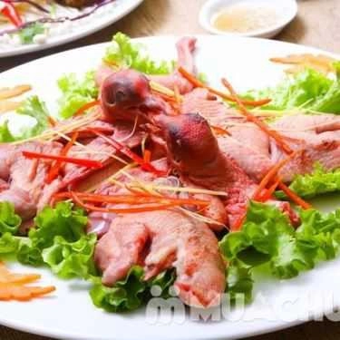 Tổng hợp- Nhà Hàng Món Ăn Bài Thuốc - Hải Phòng Đệ Nhất Chim Câu