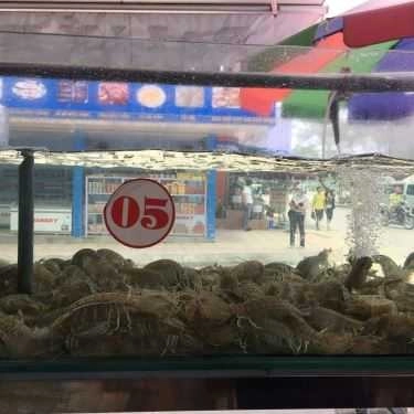 Tổng hợp- Nhà Hàng Nam Phương