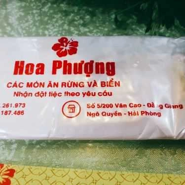 Tổng hợp- Nhà Hàng Hoa Phượng - Đặc Sản Rừng & Biển