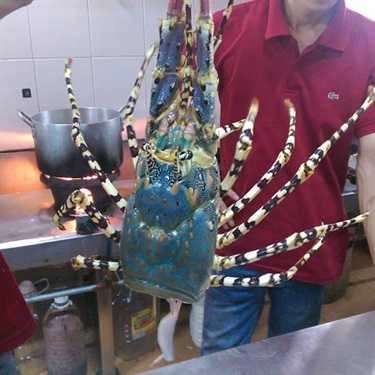 Tổng hợp- Nhà Hàng Hoàng Anh - Nguyễn Tri Phương