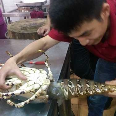 Tổng hợp- Nhà Hàng Hoàng Anh - Nguyễn Tri Phương