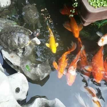 Tổng hợp- Nhà Hàng Trường An - Hồ Sen