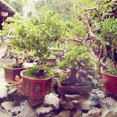 Tổng hợp- Nhà Hàng Trường An - Hồ Sen
