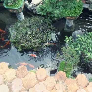 Tổng hợp- Nhà Hàng Trường An - Hồ Sen