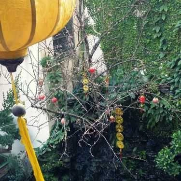 Tổng hợp- Nhà Hàng Trường An - Hồ Sen