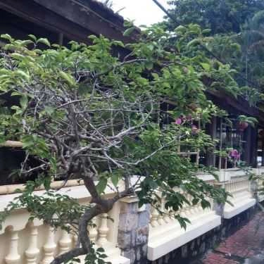 Không gian- Nhà Hàng Vạn Vân - Hải Sản Các Loại