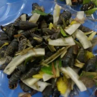 Món ăn- Nhà Hàng Sam Biển - Các Món Nhậu Đồng Quê