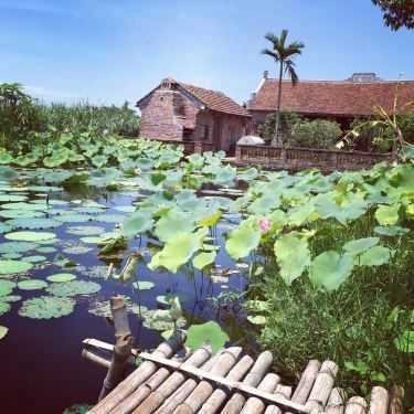 Tổng hợp- Nhà Hàng Sông Trăng Quán