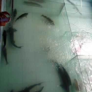 Tổng hợp- Nhà Hàng Thanh Liêm - Hải Sản Tươi Sống