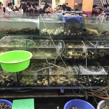 Tổng hợp- Viễn Dương - Nhà Hàng Hải Sản