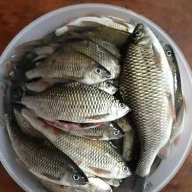 Món ăn- Nhà Hàng Beer Garden Restaurant - Ẩm Thực 3 Miền