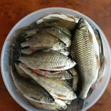 Món ăn- Nhà Hàng Beer Garden Restaurant - Ẩm Thực 3 Miền