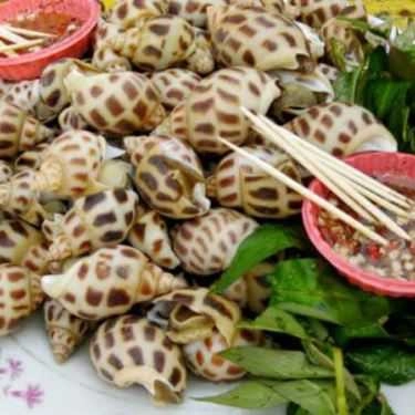Tổng hợp- Chân Cầu Cửa Việt - Nhà Hàng Hải Sản