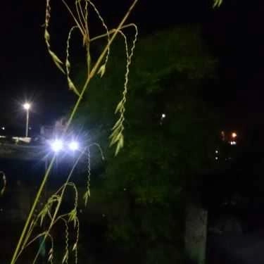 Tổng hợp- Nhà Hàng Tiệc Cưới Đại An Xanh