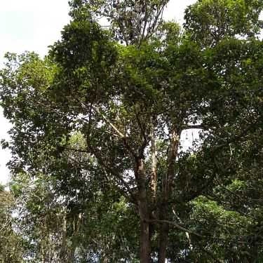 Tổng hợp- Nhà Hàng Khu Du Lịch Chùa Dơi