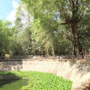 Tổng hợp- Nhà Hàng Chùa Dơi