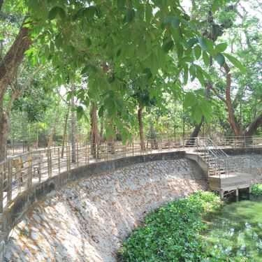 Tổng hợp- Nhà Hàng Chùa Dơi