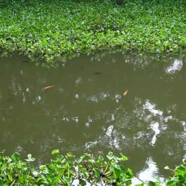 Tổng hợp- Nhà Hàng Khu Du Lịch Chùa Dơi