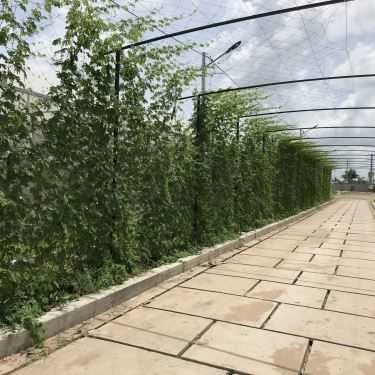 Tổng hợp- Beloved Farm - Nhà Hàng Lẩu Hơi & Lẩu Chay