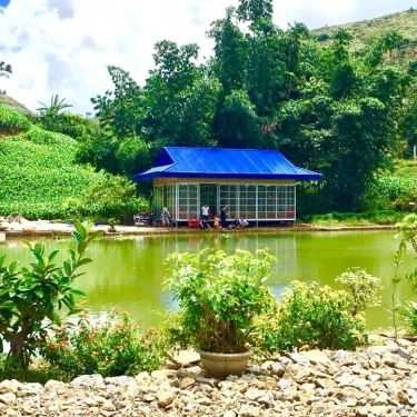 Tổng hợp- Nhà Hàng Cá Cao Nguyên
