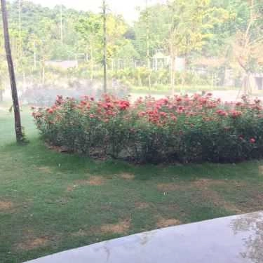 Tổng hợp- Nhà Hàng Suối Hẹn - Phức Hợp Ẩm Thực & Du Lịch Sinh Thái