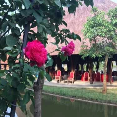 Tổng hợp- Nhà Hàng Suối Hẹn - Phức Hợp Ẩm Thực & Du Lịch Sinh Thái
