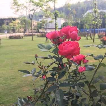 Tổng hợp- Nhà Hàng Suối Hẹn - Phức Hợp Ẩm Thực & Du Lịch Sinh Thái