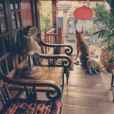 Tổng hợp- The Wood House - Cà Phê Nhà Sàn