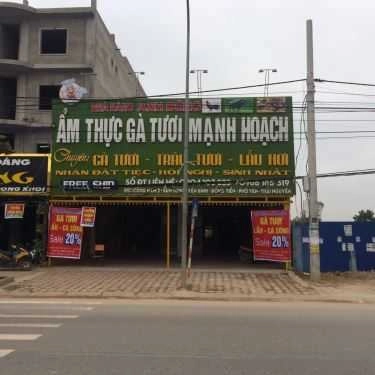 Tổng hợp- Nhà Hàng Anh Dũng - Ẩm Thực Gà Tươi Mạnh Hoạch