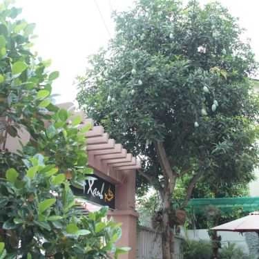 Tổng hợp- Đầm Xanh Cafe