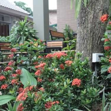 Tổng hợp- Đầm Xanh Cafe