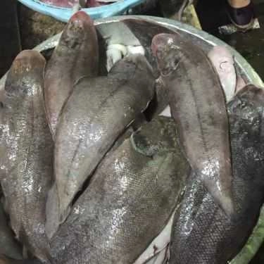 Tổng hợp- Nhà Hàng Hoa Biển